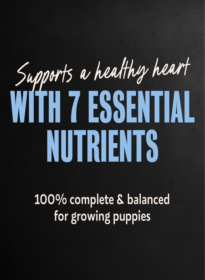 Cesar Puppy Classic Loaf in Sauce and Filets in Gravy Wet Dog Food Variety Pack, Chicken & Beef and Chicken Recipes, 3.5 oz. Easy Peel Trays, Dog Food Toppers, 12 Count (Pack of 2) - Image 3